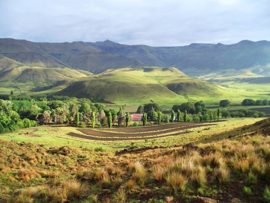 Commercial Property for Sale in Barkly East Eastern Cape